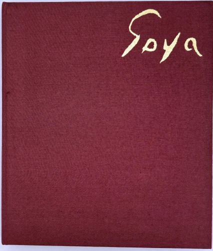 Portada del libro de Goya, entonces y ahora