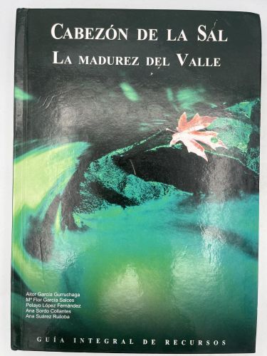 Portada del libro de Cabezón de la Sal. La madurez del valle.