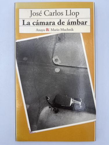 La cámara de ámbar