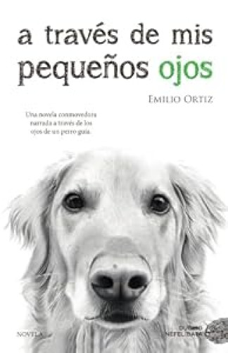A través de mis pequeños ojos