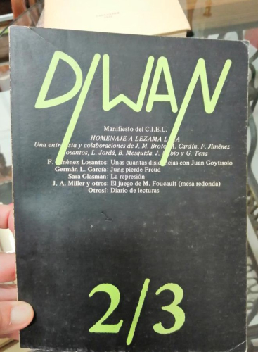 Book cover from DIWAN 2/3