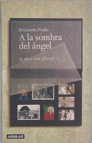 Portada del libro de A LA SOMBRA DEL ÁNGEL