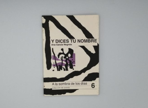 Portada del libro de A LA SOMBRA DE LOS DÍAS 6. Y DICES TU NOMBRE