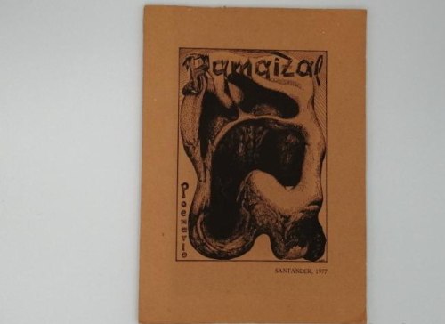 Portada del libro de RAMAIZAL.