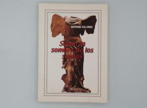 Portada del libro de SEGÚN LA SOMBRA DE LOS SUEÑOS