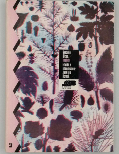 Portada del libro de IMAGEN