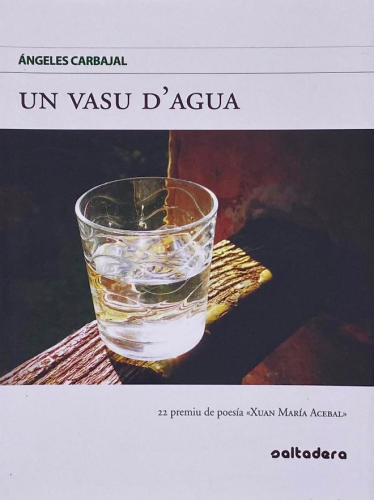 Portada del libro de UN VASU D,AGUA