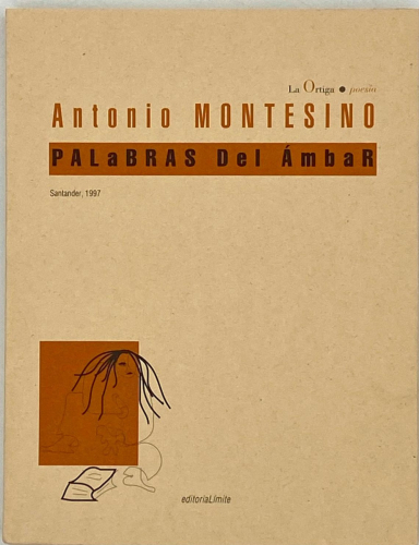Portada del libro de PALABRAS DEL ÁMBAR
